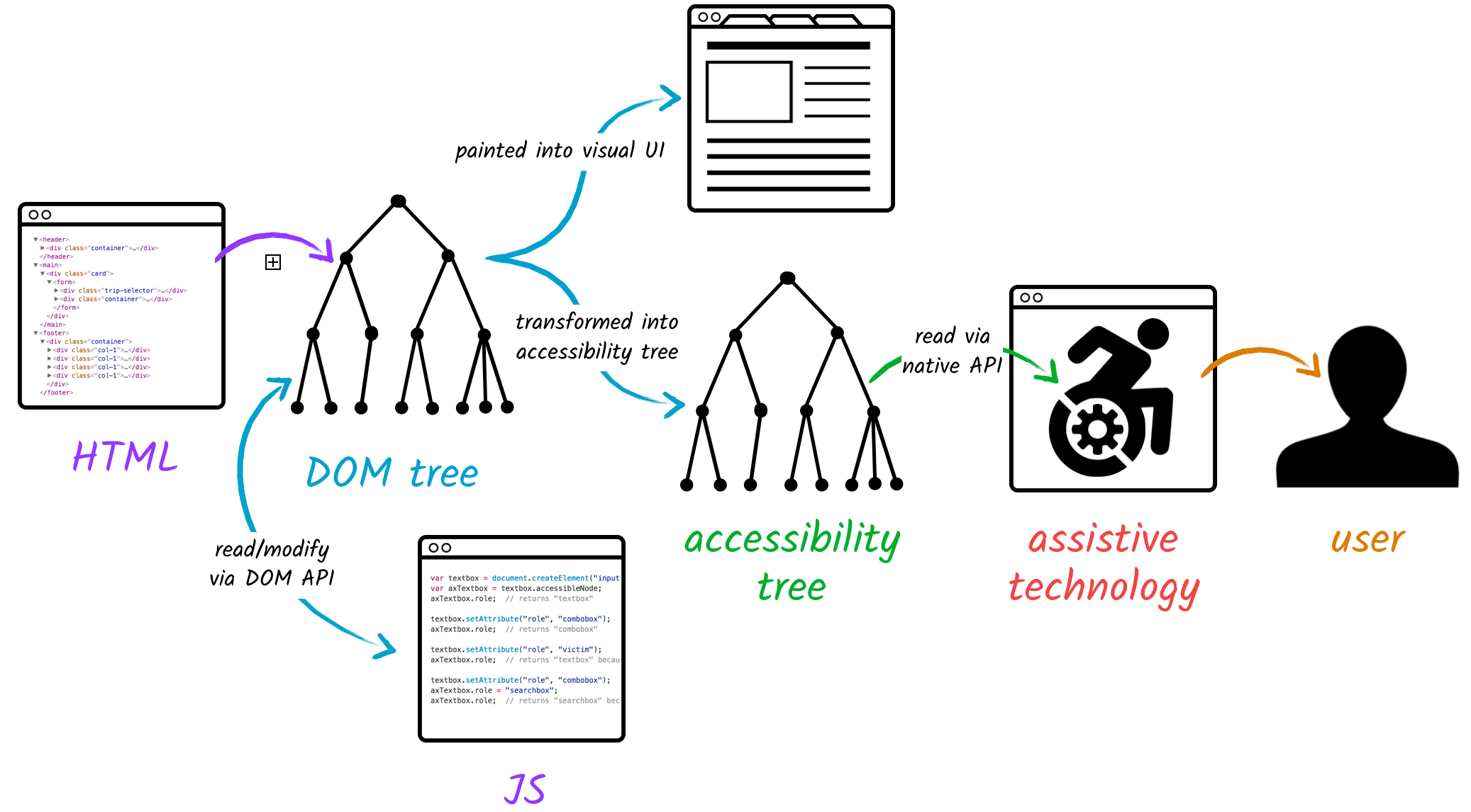 HTML translated into DOM tree translated into visual UI and accessibility tree.