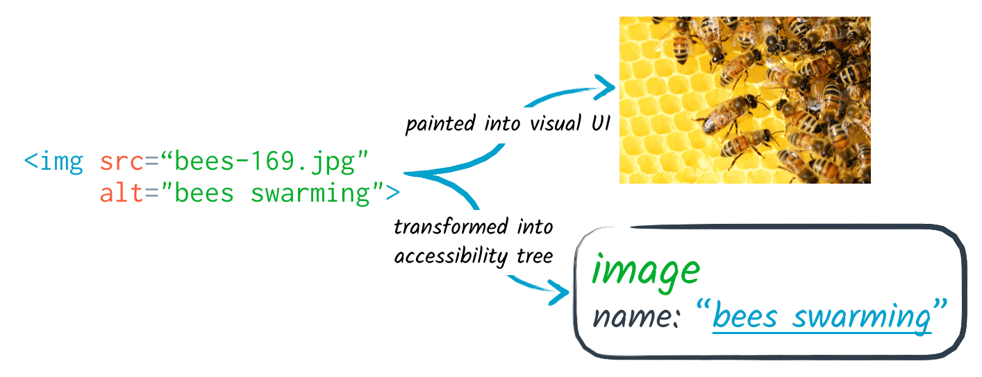 <img> node translated into an image on the page and an accessibility node